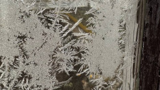 ����������� ������� ������ ����������� � ������� ��������� ����