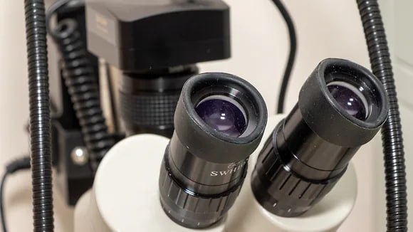 Кредиторы требуют с крупнейшего в РФ белгородского НИИ еще более 200 млн рублей