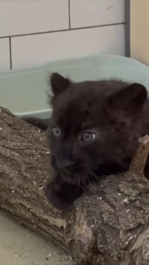 ���������� ��������� ������! ��, ������ ������� � ������������ �������� ������� ������ ���