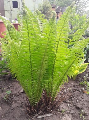 ���������� ����� ������������: ��������� ��� ����������?