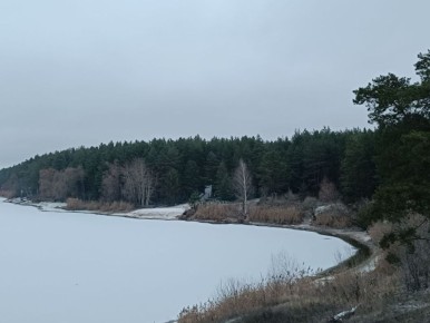 Сегодня, 25 декабря, в Белгороде будет пасмурная погода