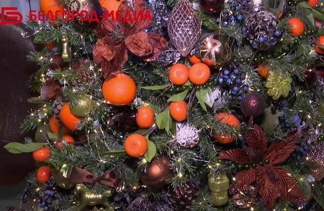 ʠ��������� ����������� ������ ��������� ������ ����� �������