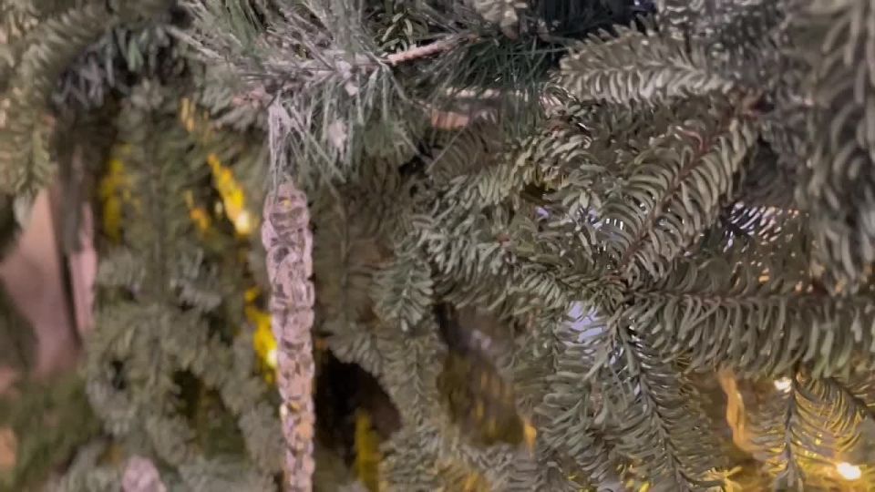 ����� ������� � �����, ������� �������������� �����, ������� ��� ��� ���� ������ ���������