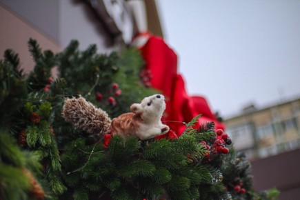 Погода 26 декабря. Сегодня синоптики обещают облачную погоду и дождь со снегом