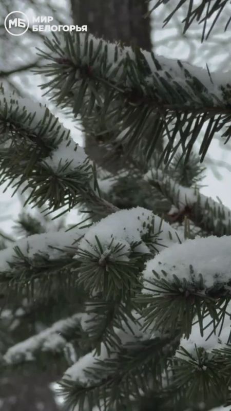 А снег идёт, а снег идёт,. И все вокруг чего-то ждёт