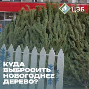Куда выбросить новогоднее дерево?