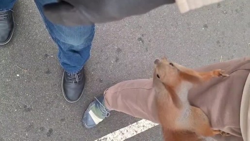 ��� ����� �������������� ������� �������� � ������-�����