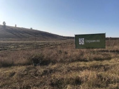 ������������ ������� ����� � ���-5 ��������-������� ������������� ����� ��������� ���