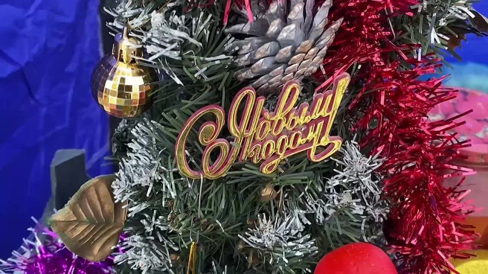 Светлана Халеева: На предновогодней ярмарке: песни, покупки и праздничное настроение!