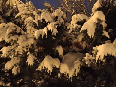 ������� ���������: ��������� ������ ����������� �������������� ������!