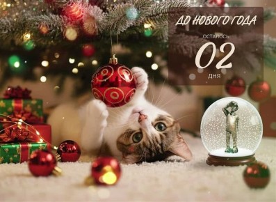 �� ������ ����2���!. ������ ����, �������������! ������� ����� 2 ��� �� ������� ���������