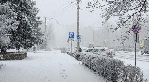 � ������������ ������� ������ ���� ������������ �� ���������� ����������