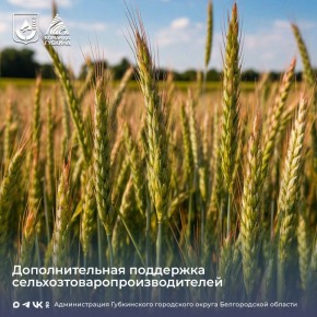 Изменения касаются и земель Губкинского городского округа