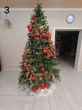 ��� �����-������� ��������!