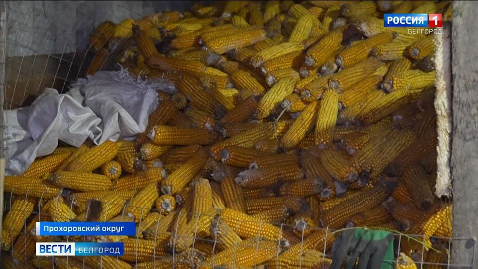 В Прохоровке появится военно-спортивный центр «Воин»