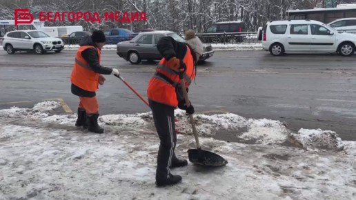 Коммунальные службы трудятся, чтобы снежный Белгород оставался комфортным и безопасным для жителей