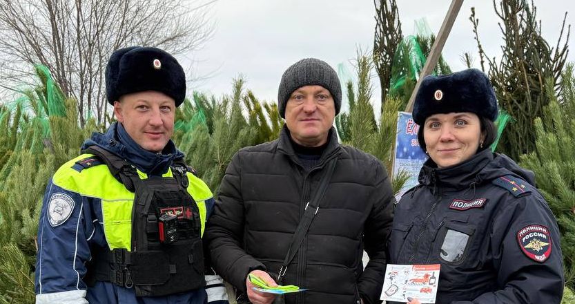 В Белгороде «Ёлочные базары» стали консультационными площадками по дорожной безопасности