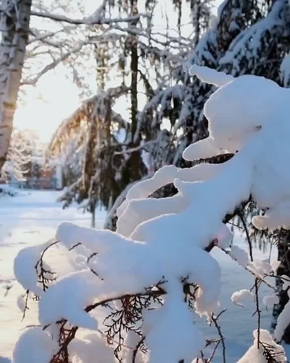 До Нового года остался один день