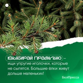 ���� � ������� ���������� ���������