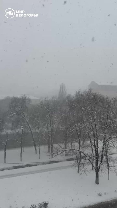 Полчаса назад в Белгороде