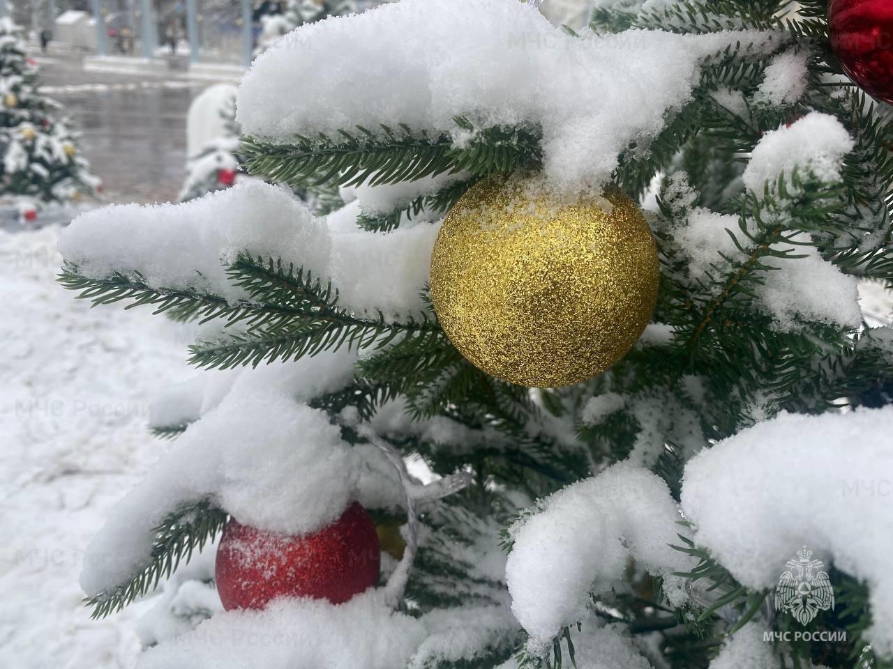 Последний день уходящего года будет снежным