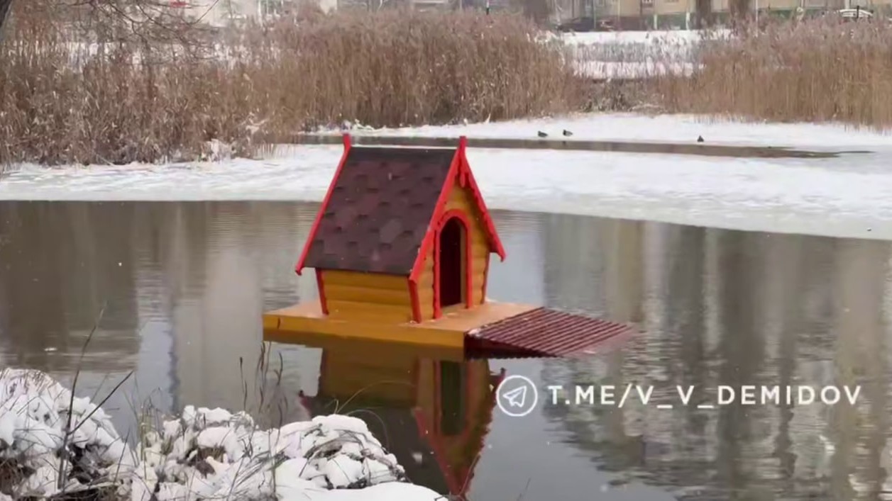 Болеющему лебедю, живущему на Левобережье в Белгороде, построили тёплый дом