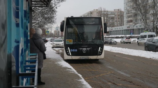 � ������ ������ ������� �����-����������� �� ���������� ���������� ���� ������������� ����������