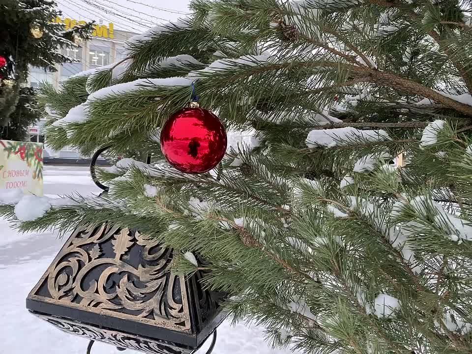 Светлана Халеева: Уважаемые жители Алексеевского муниципального округа!