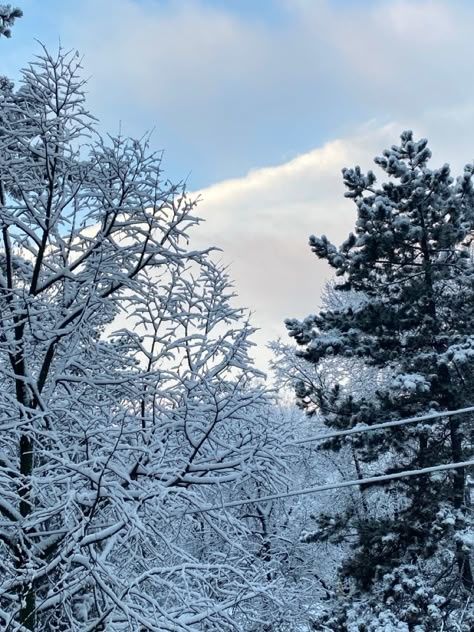 На территории региона ожидаются порывы ветра до 20 м/с