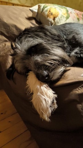 Мысли о спокойной ночи и продуктивной неделе