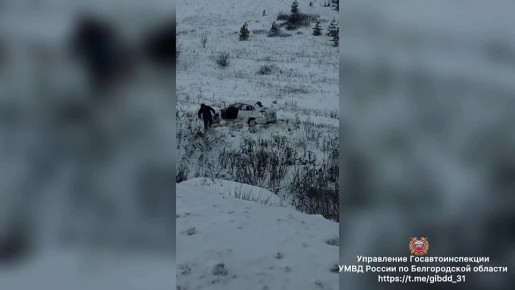 Мужчина, женщина и девочка пострадали в ДТП в Белгородской области