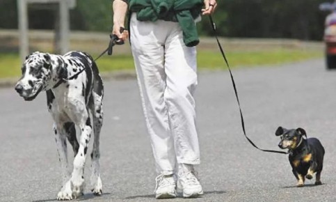 ������ �� �������� ��������� � ���������: ��� ������ ����� ������ ��������