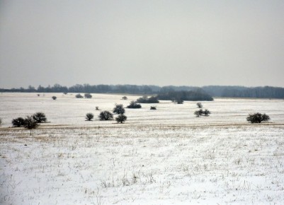 ��� �������� �������� ����� ����?