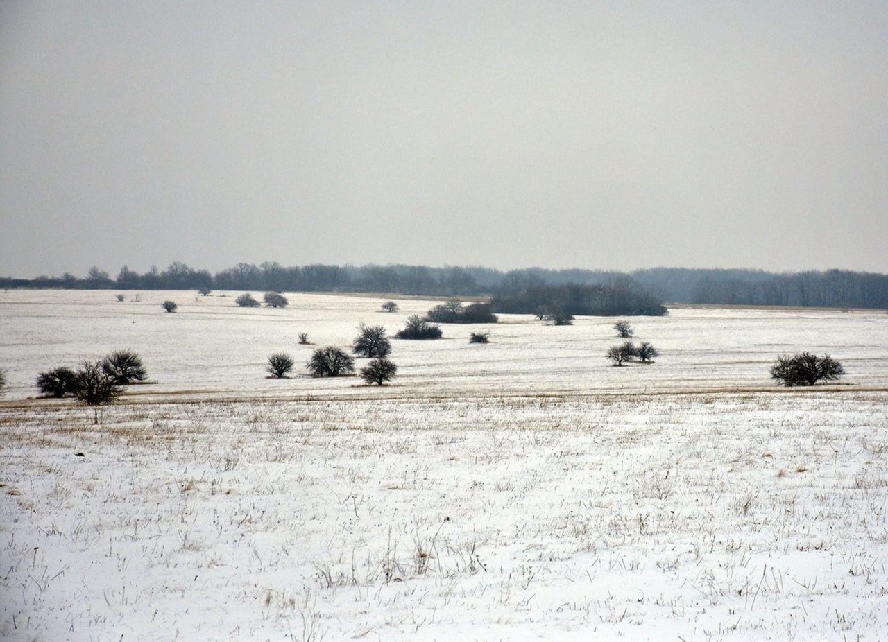 Как необычно подвести итоги года?