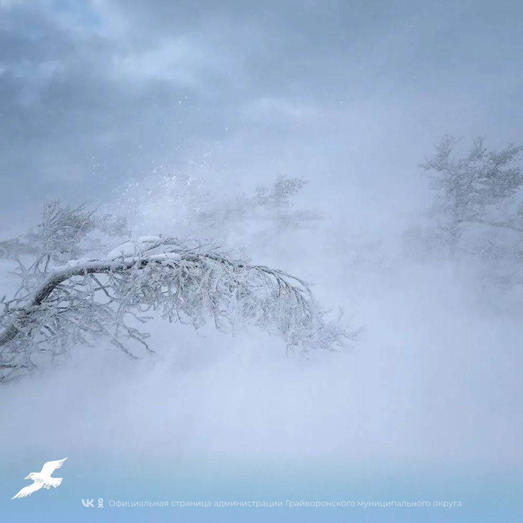 Сегодня в регионе ожидается сильный ветер с порывами до 20 м/с