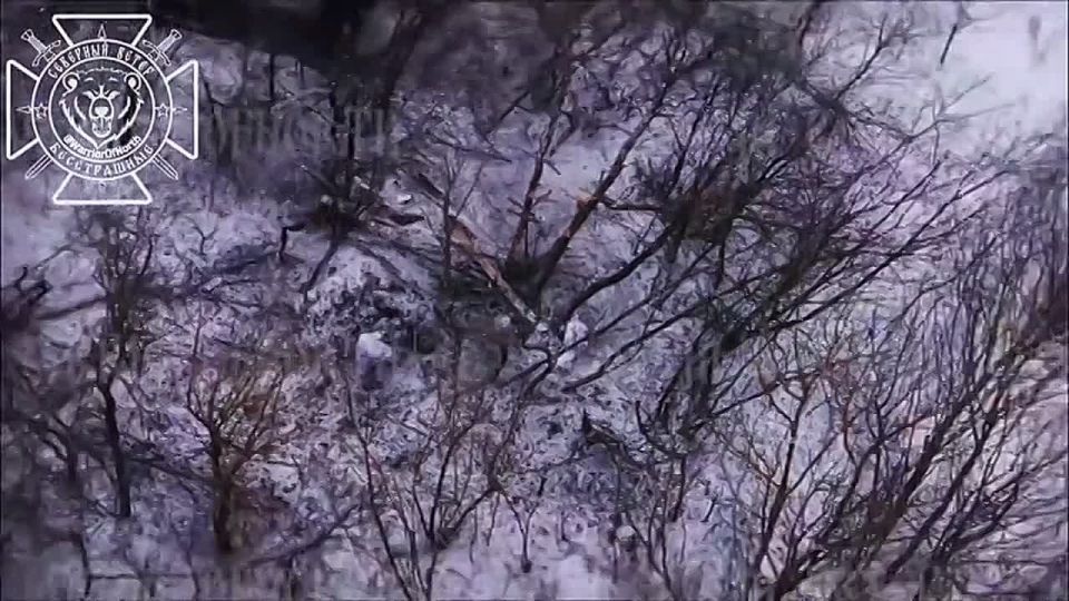 Наступление на новом участке: после освобождения Грабовского армия Россия штурмует новые опорники врага в Сумской области