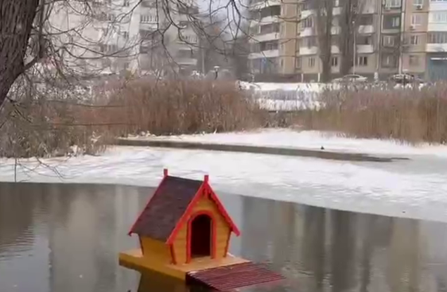 У лебедя, который зимует на белгородской Везёлке, появился собственный тёплый дом