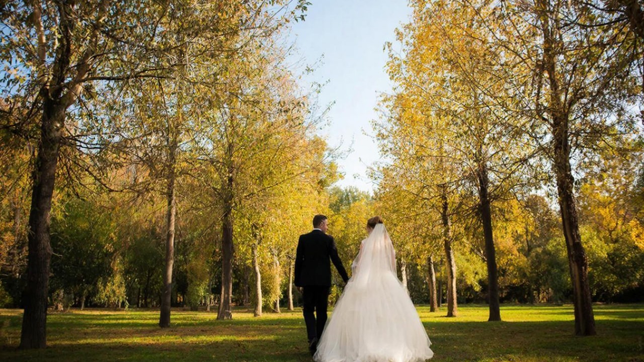 Любовь не знает возраста: в белгородском ЗАГСе рассказали о рекордах 2025 года