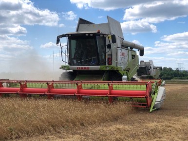 Итоги работы отрасли сельского хозяйства в 2025 году