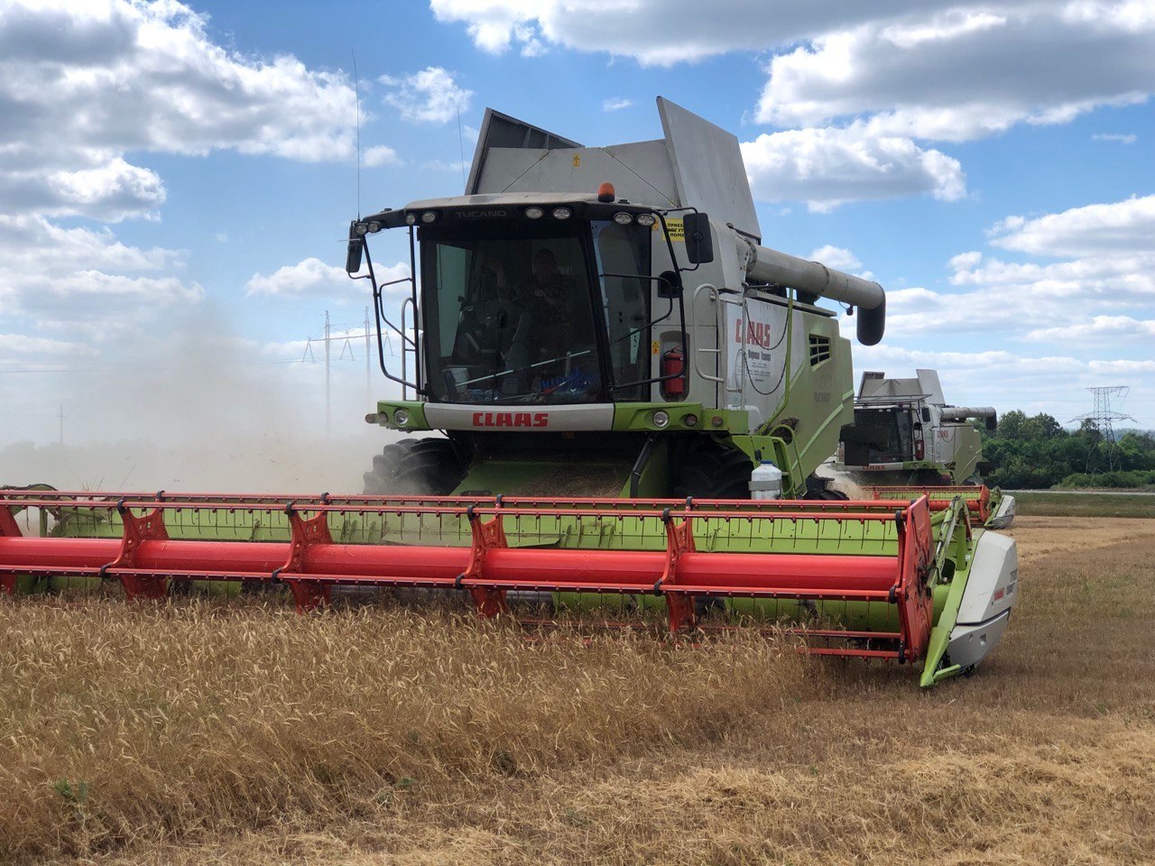 Итоги работы отрасли сельского хозяйства в 2025 году