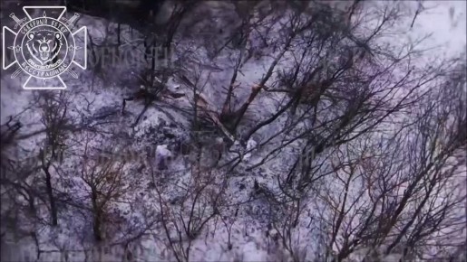 ГрВ "Север" ведет бои на новом участке фронта, создавая еще один участок небольшой буферной зоны напротив Красной Яруги Белгородской области