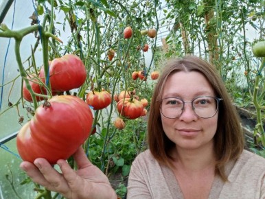 Осенние тайны тепличного урожая: как подготовить ваш сад к новому сезону