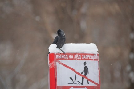 Погода 3 января. Сегодня синоптики обещают слабый снег