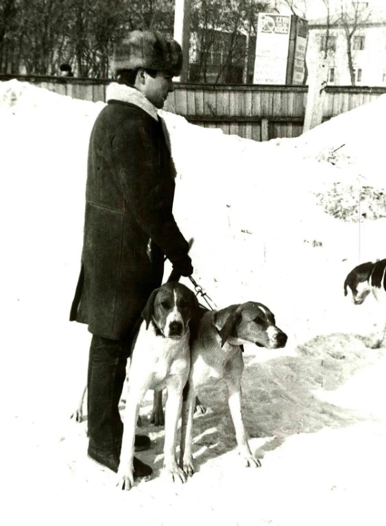 Для наших четвероногих друзей снежные сугробы – не повод отказываться от прогулки