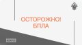 Осторожно! БПЛА. С учетом сложившейся оперативной обстановки на территории Белгородской области следственное управление Следственного комитета Российской Федерации по Белгородской области напоминает о необходимости...