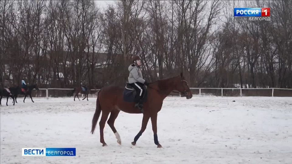 «Я прихожу сюда с любым настроением, смотрю на лошадь – и все проблемы исчезают», – делится Элиза Багатаева