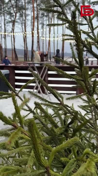 Ещё один зимний день в копилку воспоминаний