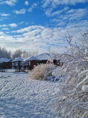 Погода 4 января. Сегодня синоптики обещают пасмурную погоду и слабый снег