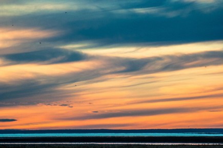 ������� ��������� � ���������������� ���������� ���������: ������������ �������� ������������