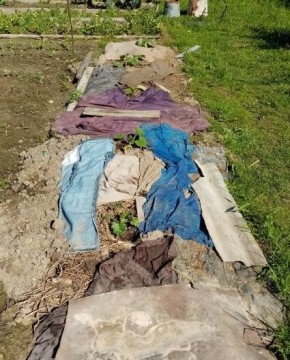 Как вырастить идеальные кабачки и тыквы на теплой грядке